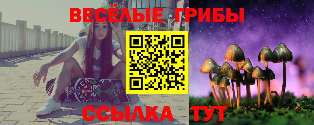 Гагарин  Галлюциногенные грибы Cubensis  Псилоцибиновые грибы MAGIC MUSHROOMS  Вход с VPN 