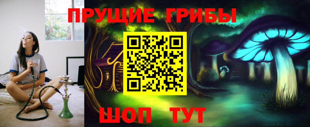 Галлюциногенные грибы Cubensis Гагарин